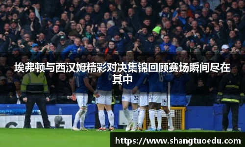 埃弗顿与西汉姆精彩对决集锦回顾赛场瞬间尽在其中