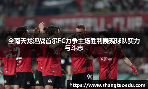 全南天龙迎战首尔FC力争主场胜利展现球队实力与斗志