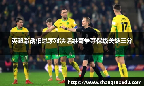 英超激战伯恩茅对决诺维奇争夺保级关键三分