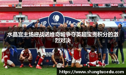 水晶宫主场迎战诺维奇城争夺英超宝贵积分的激烈对决